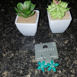 NWT earrings